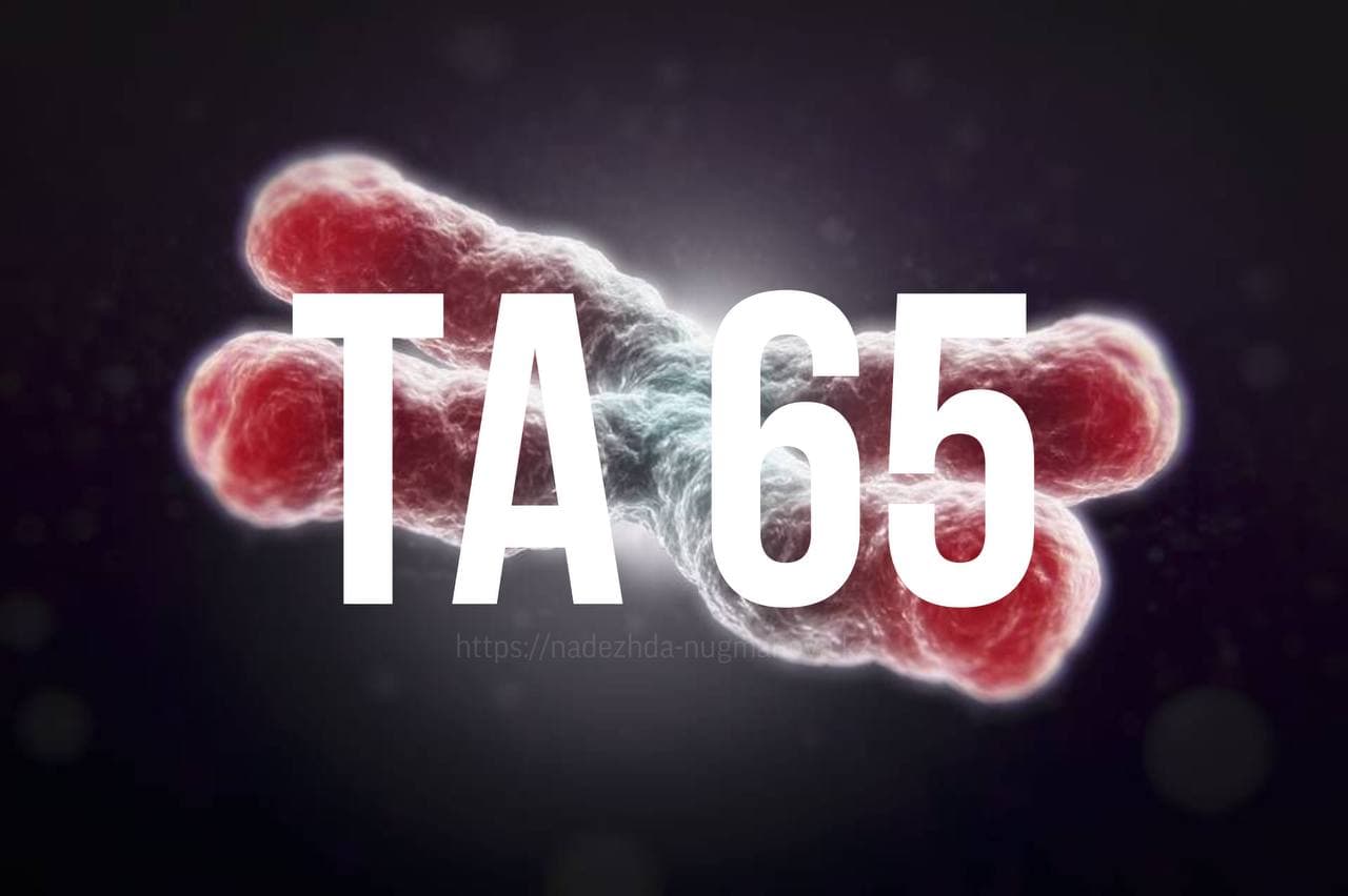 ТА 65 Активатор Теломеразы код продления молодости