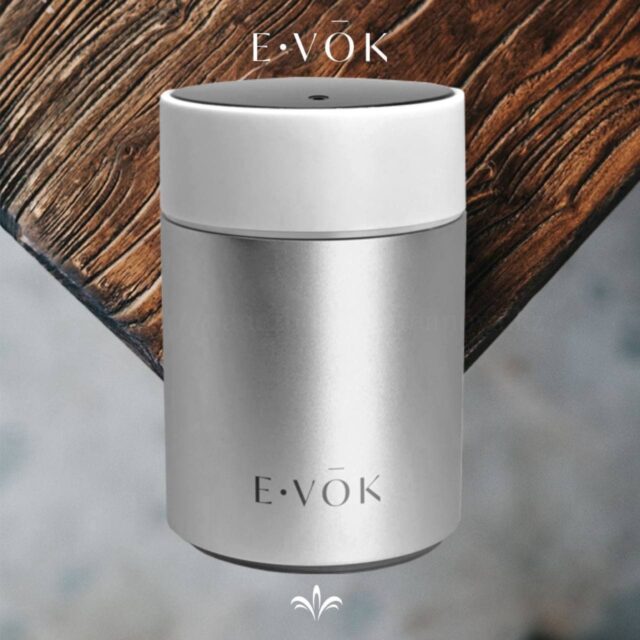 Распыляющий диффузор E-VOK для ароматерапии для дома